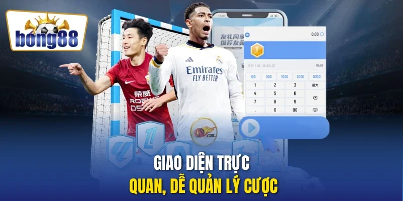 Giao diện trực quan, dễ quản lý cược