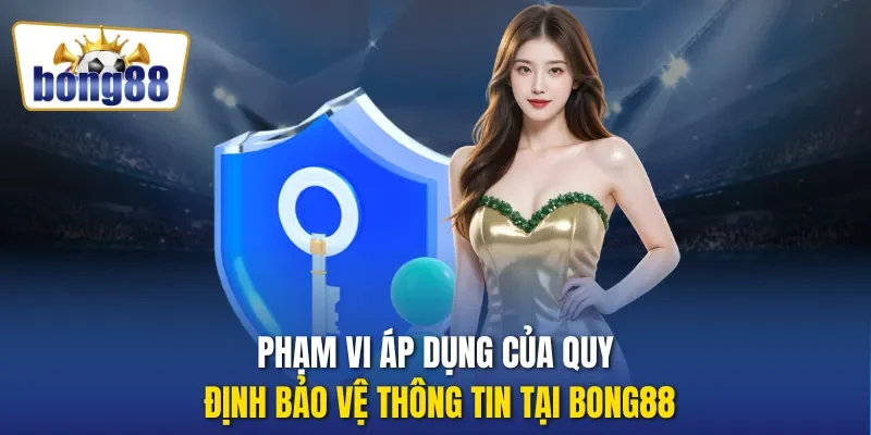 Phạm vi áp dụng của quy định bảo vệ thông tin tại Bong88